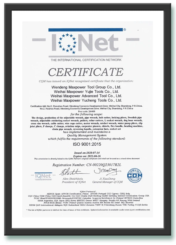 IQNet ISO 9001